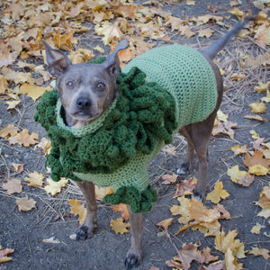 Crochet Dog Costumes